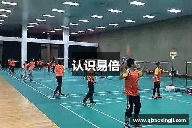 认识易倍